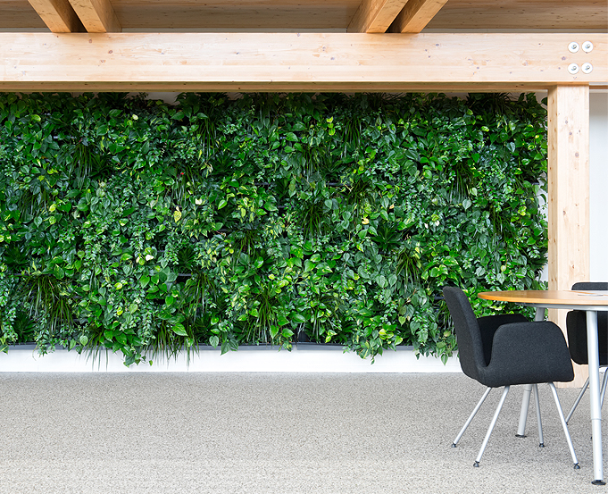 Décoration intérieure - Mur végétal installé dans un espace intérieur.
