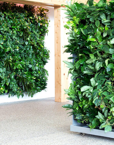 Amélioration de l'intérieur avec un mur végétal naturel installé