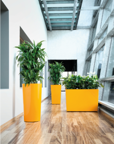 Environnement de bureau verdoyant avec des plantes luxuriantes, créant une atmosphère de travail harmonieuse et équilibrée