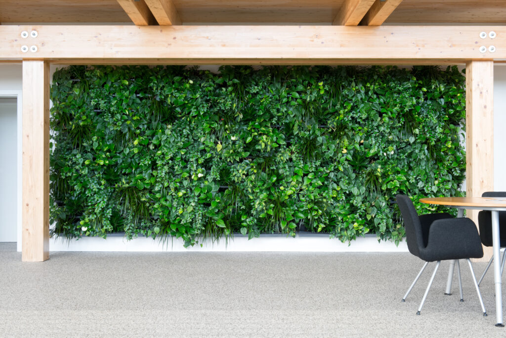 Mur végétal apportant fraîcheur et nature à l'environnement de bureau.