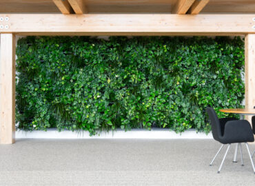 Murs végétaux intérieurs - Living Wall 152