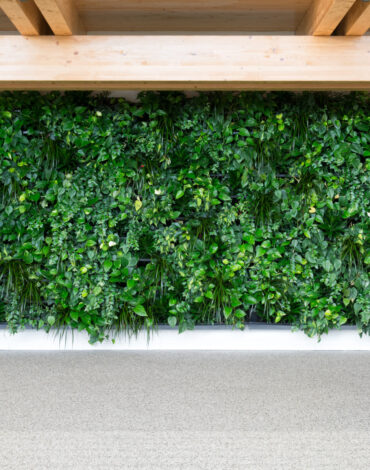 Murs végétaux intérieurs - Living Wall 152