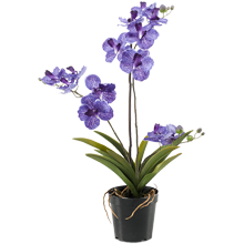 orchidees-violettes-artificielles