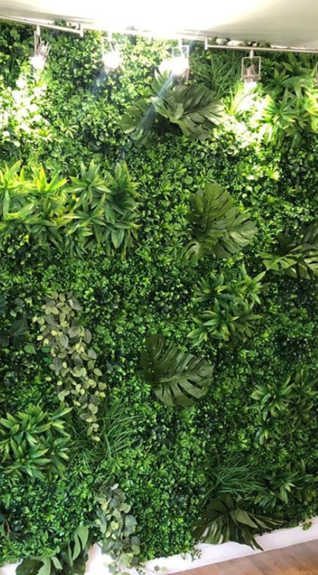 mur vegetal installé
