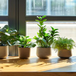 GESTI-VERT : Quand la nature inspire le bien-être