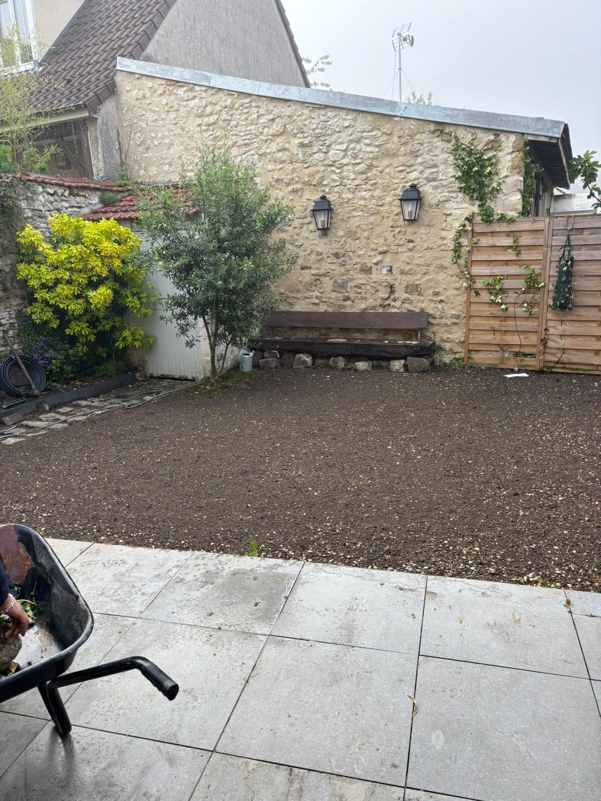 image-before