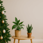 Noël Naturel et Élégant : Louez Vos Plantes et Créez une Ambiance Féérique avec GESTI-VERT