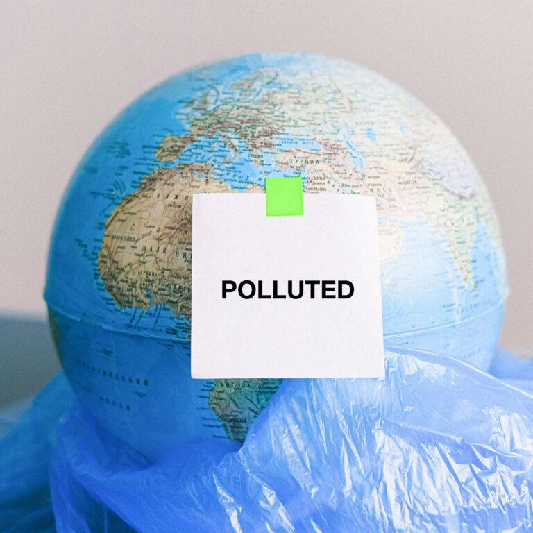 pexels-shvetsa-4167564