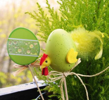 pexels-breakingpic-3317