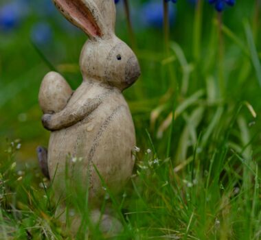 pexels-guvo59-30388006