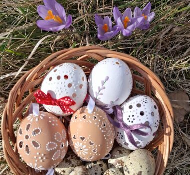 pexels-kata-22729651-36685595